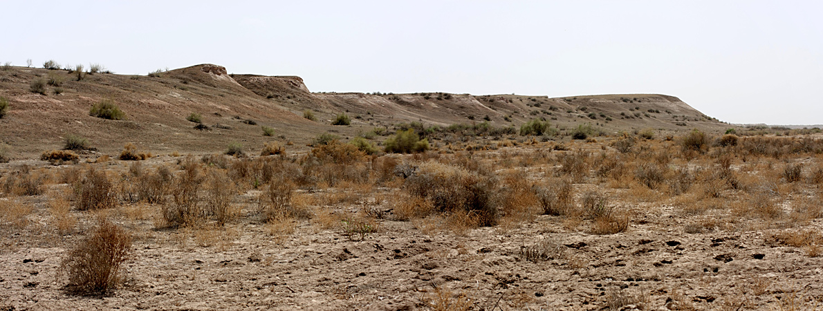 Заповедник "Тигровая балка", image of landscape/habitat.