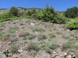 Image of landscape