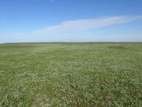 Image of landscape