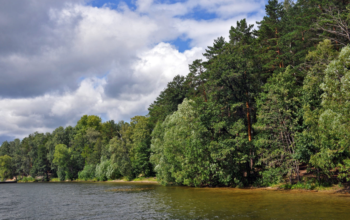 Озеро Еловое, image of landscape/habitat.