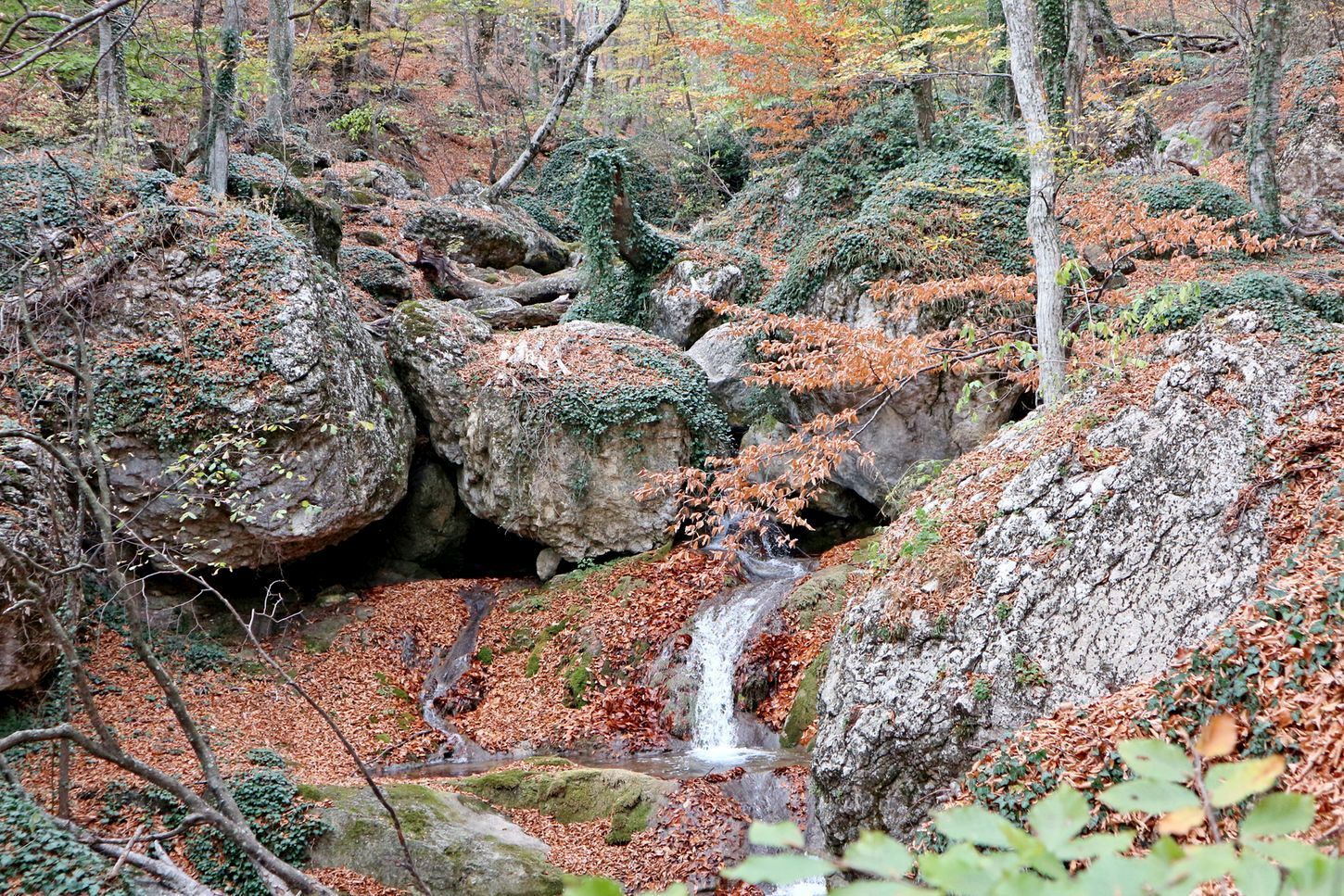 Водопад Джур-Джур, image of landscape/habitat.