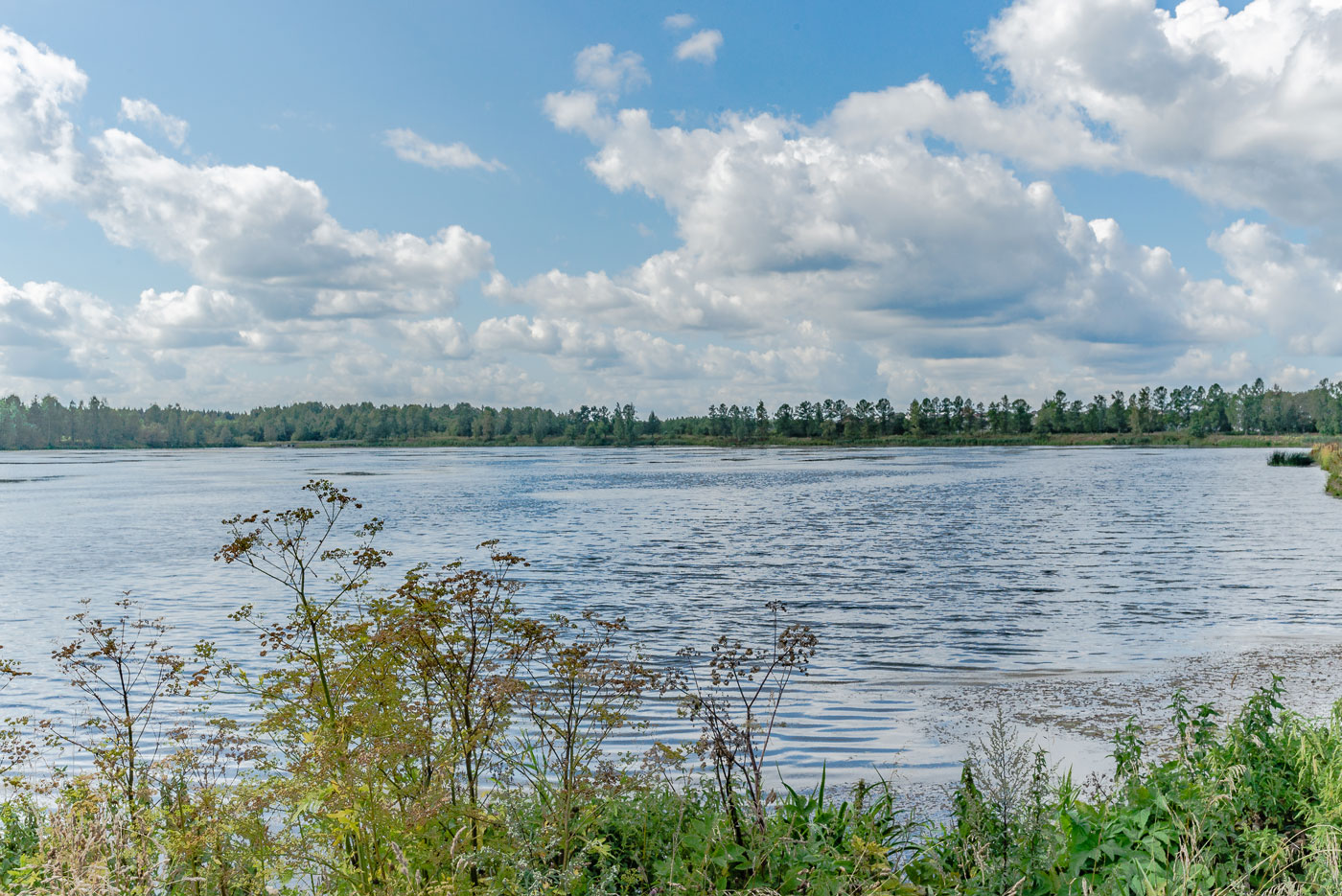 Низино, image of landscape/habitat.