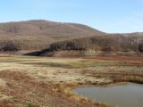 Неберджаевское водохранилище, изображение ландшафта.