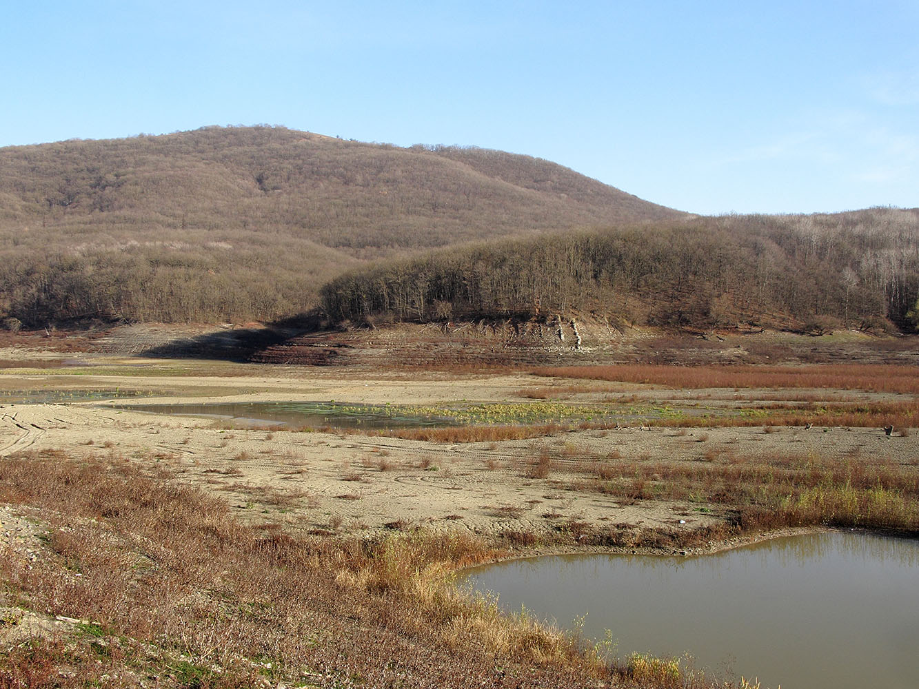 Неберджаевское водохранилище, изображение ландшафта.