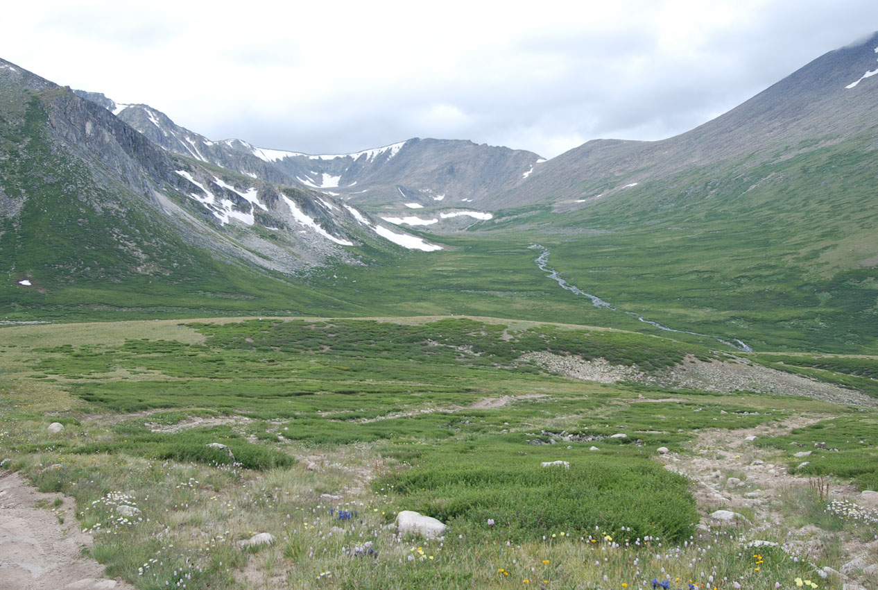 Перевал Тёплый Ключ, image of landscape/habitat.