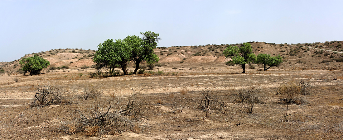 Заповедник "Тигровая балка", изображение ландшафта.