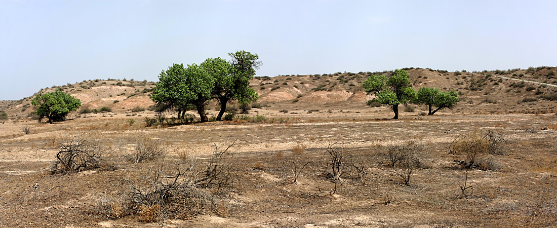 Заповедник "Тигровая балка", image of landscape/habitat.