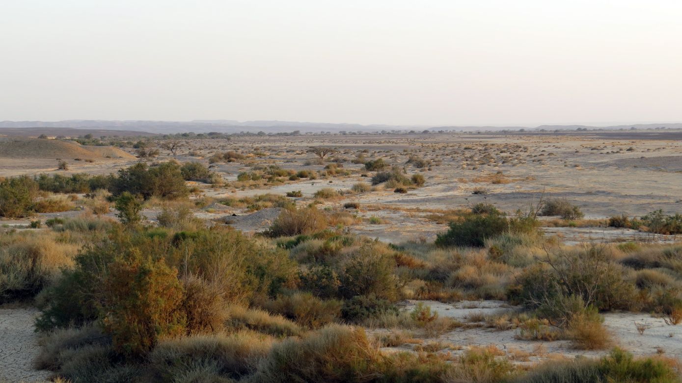 Верховья Нахаль-Хайун, image of landscape/habitat.