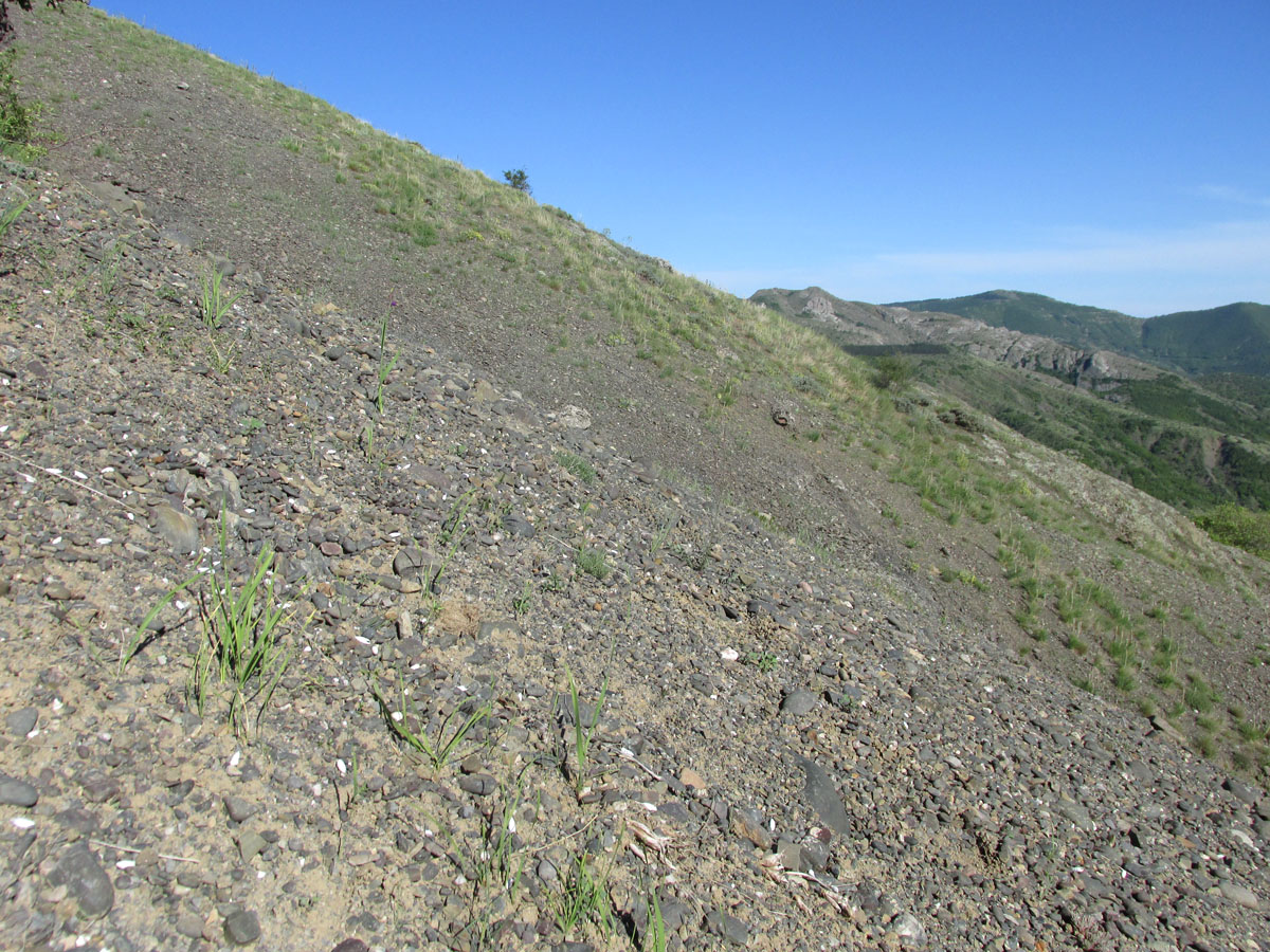 Гора Плакья, image of landscape/habitat.