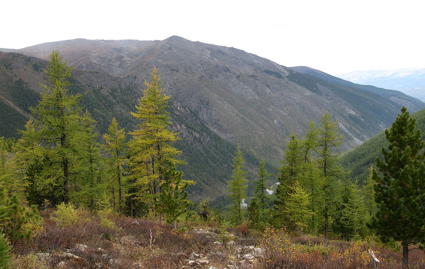 Долина реки Аккем, image of landscape/habitat.