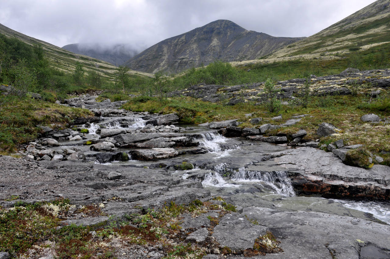 Долина реки Рисйок, image of landscape/habitat.