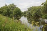 Окрестности деревни Сатино, image of landscape/habitat.