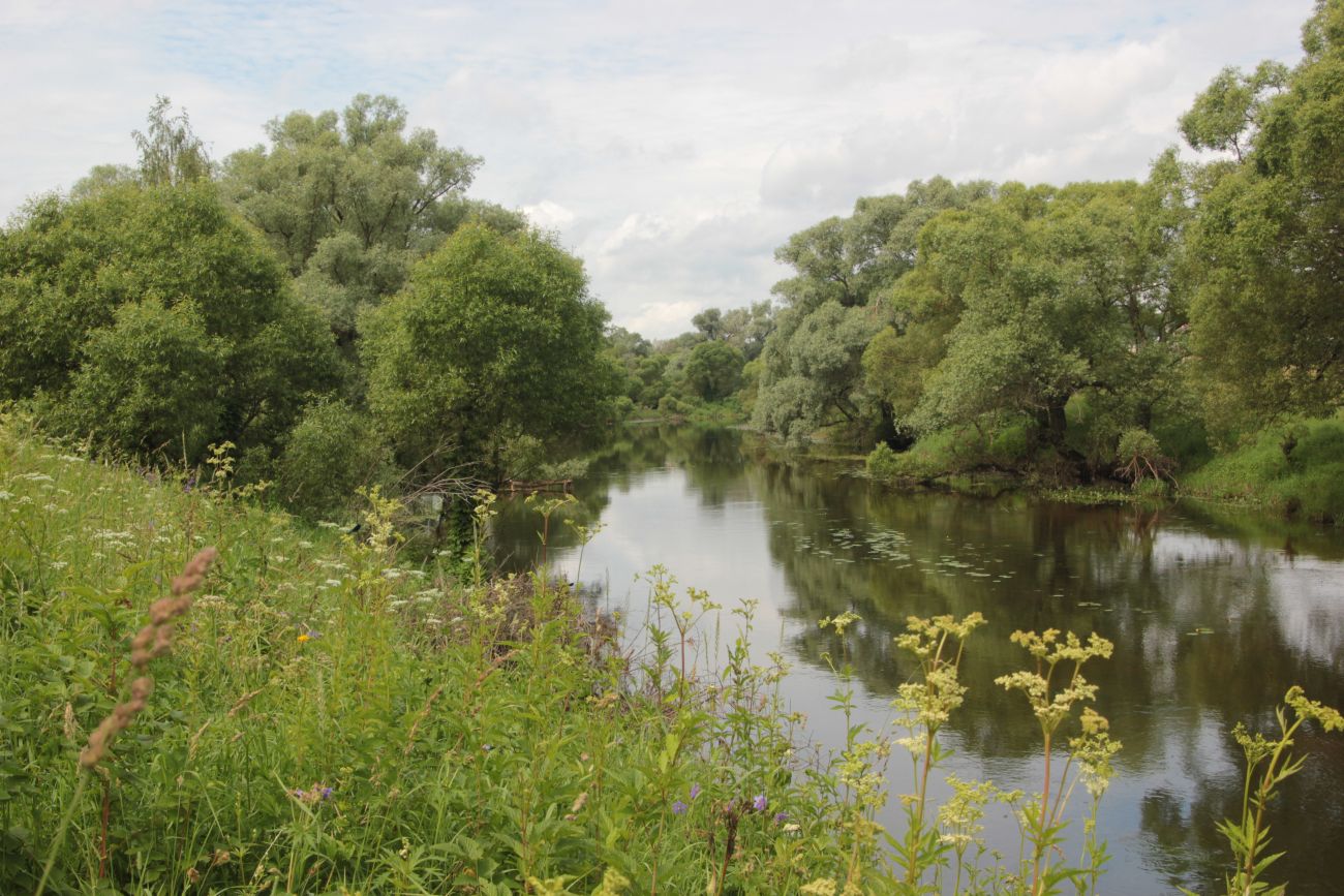Окрестности деревни Сатино, image of landscape/habitat.