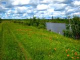 Landscape image