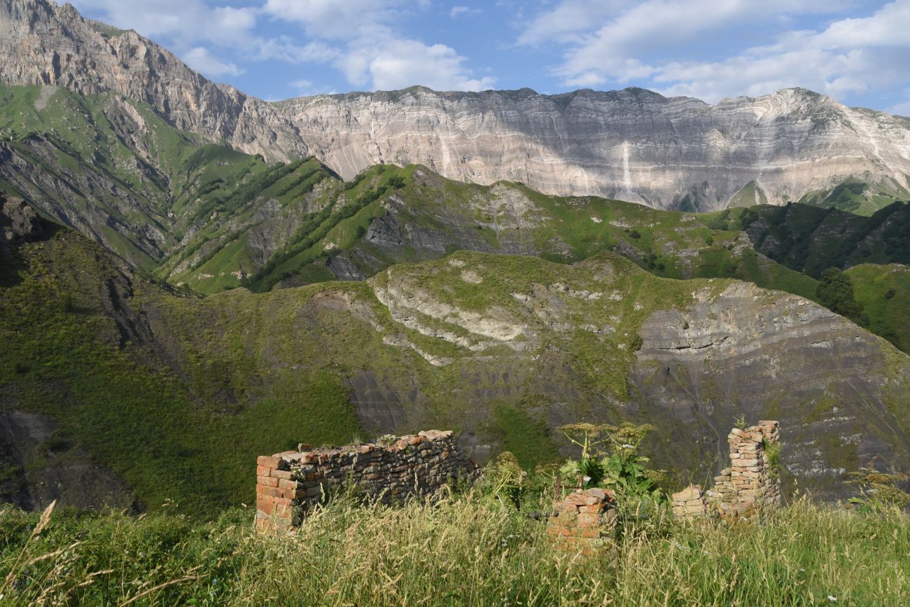 Урочище Цеси, image of landscape/habitat.