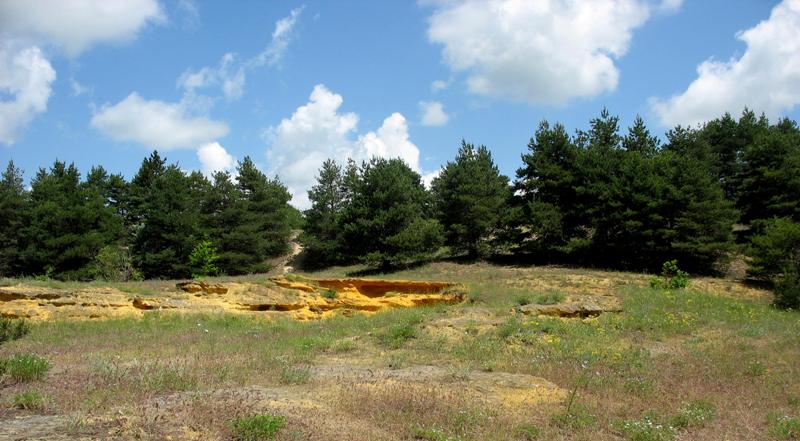 Бешпагирские высоты, image of landscape/habitat.