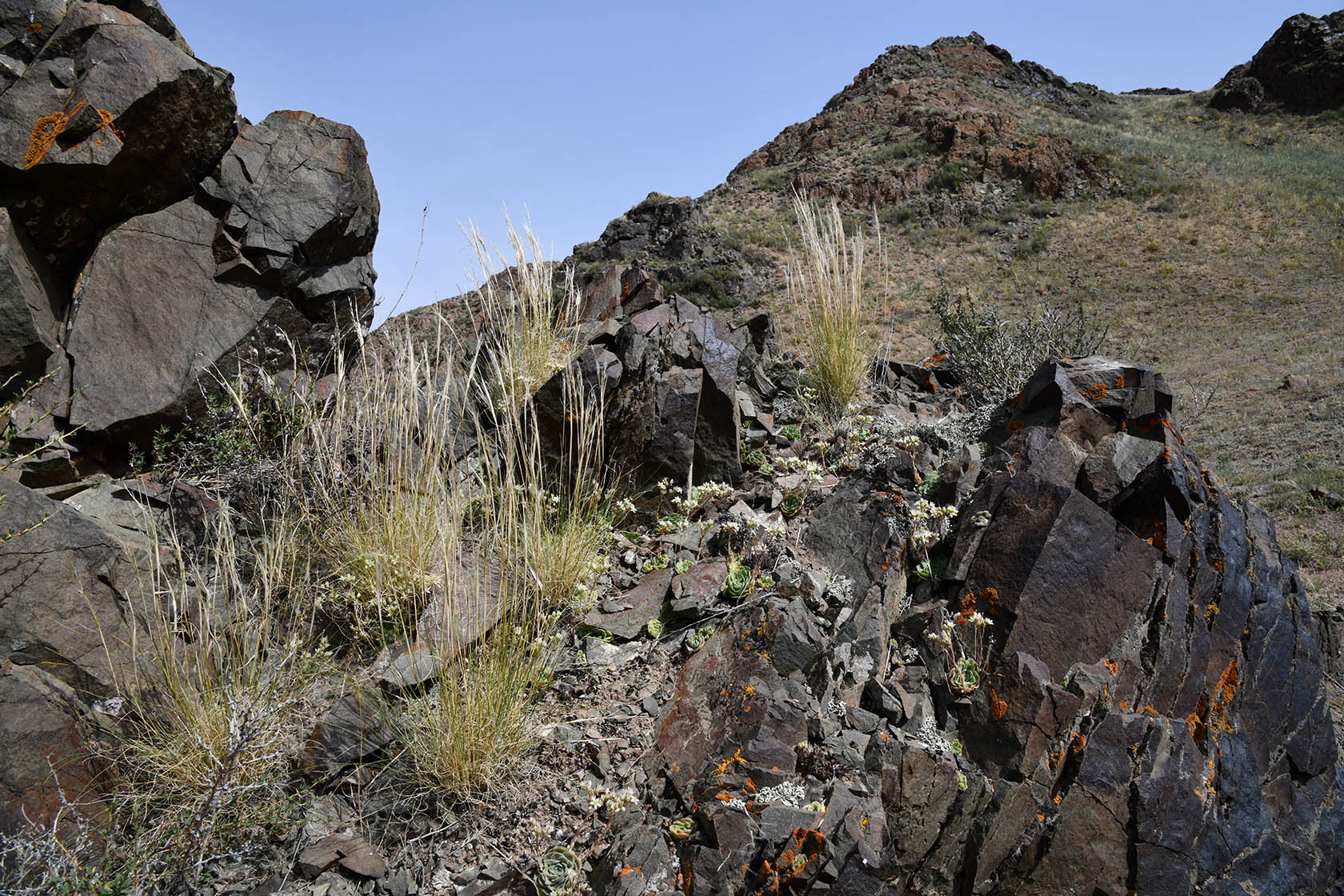 Чарын, image of landscape/habitat.
