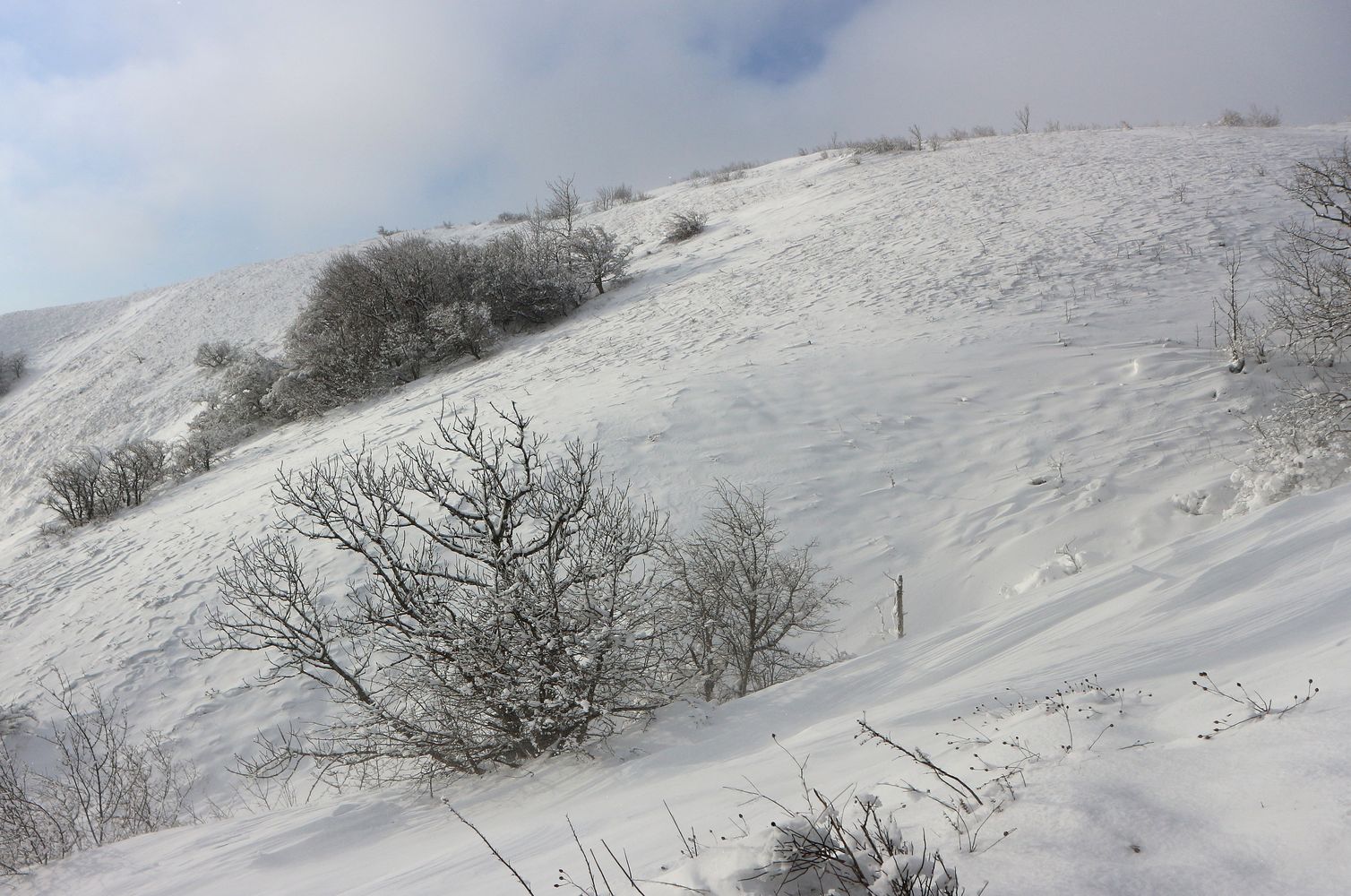 Неберджаевский перевал, image of landscape/habitat.