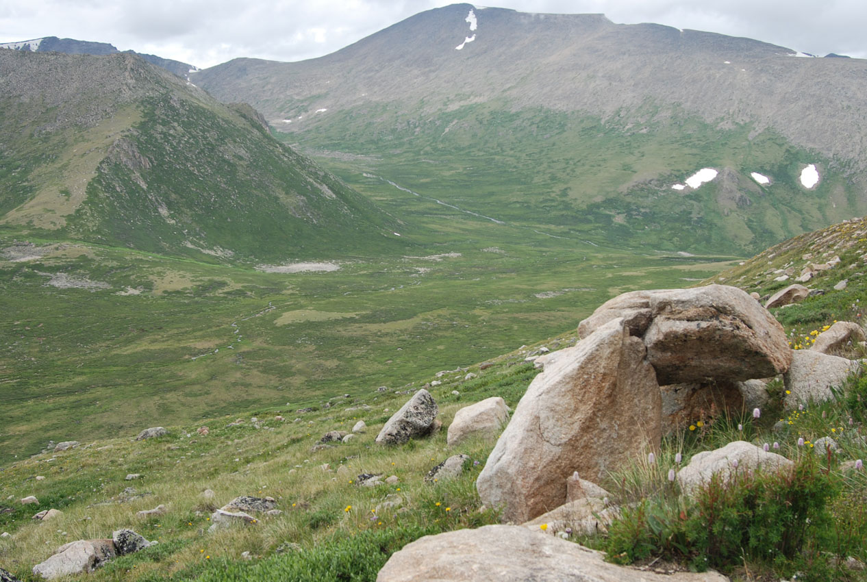 Перевал Тёплый Ключ, image of landscape/habitat.