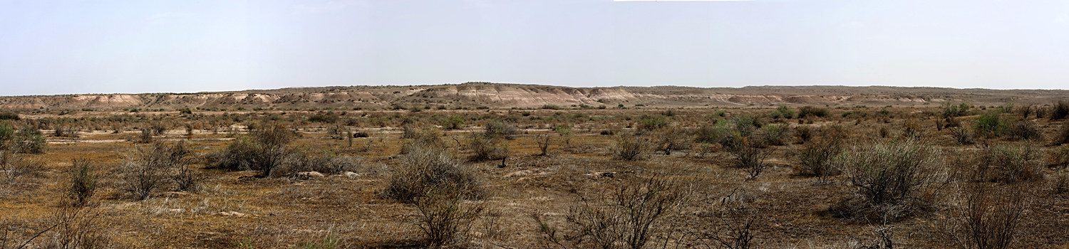 Заповедник "Тигровая балка", изображение ландшафта.