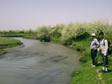 Image of landscape
