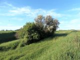 Image of landscape