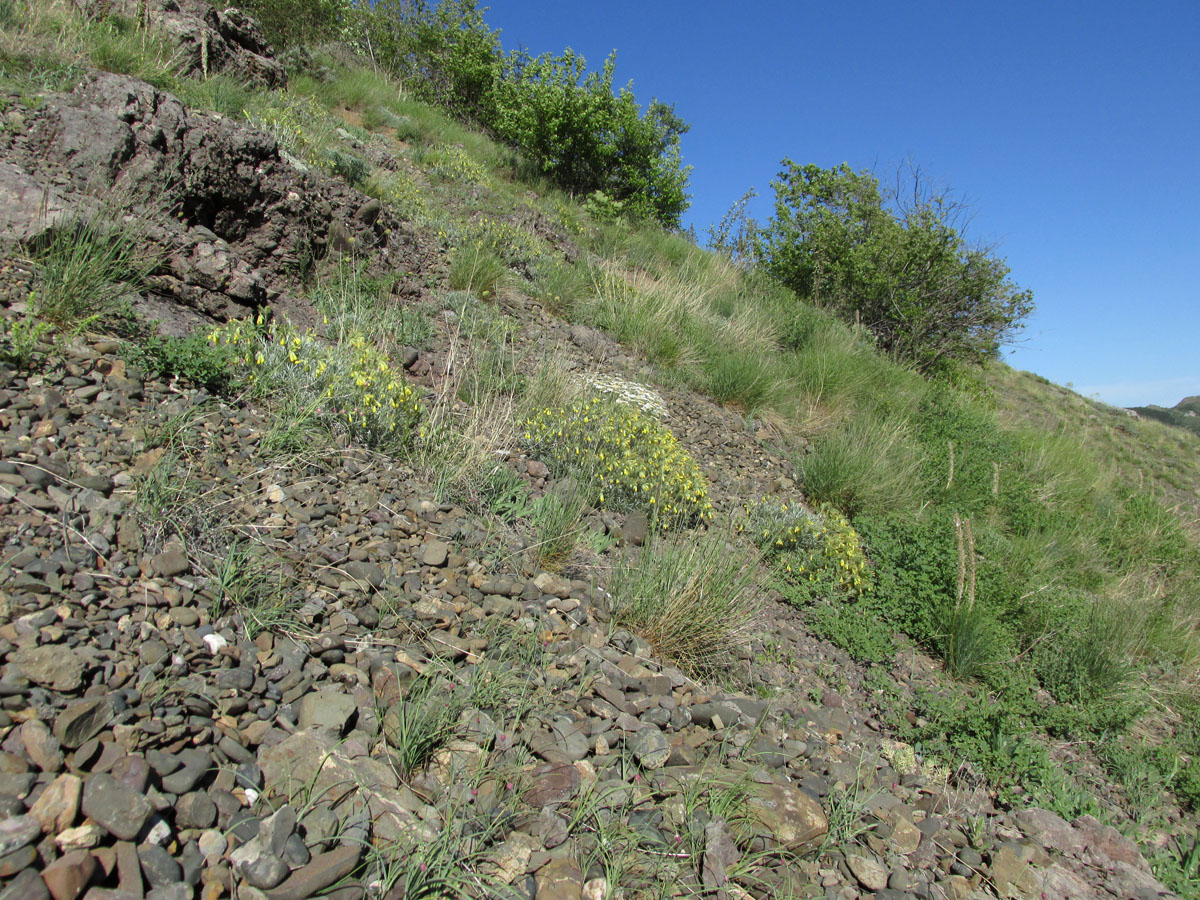 Гора Плакья, image of landscape/habitat.