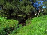 Image of landscape