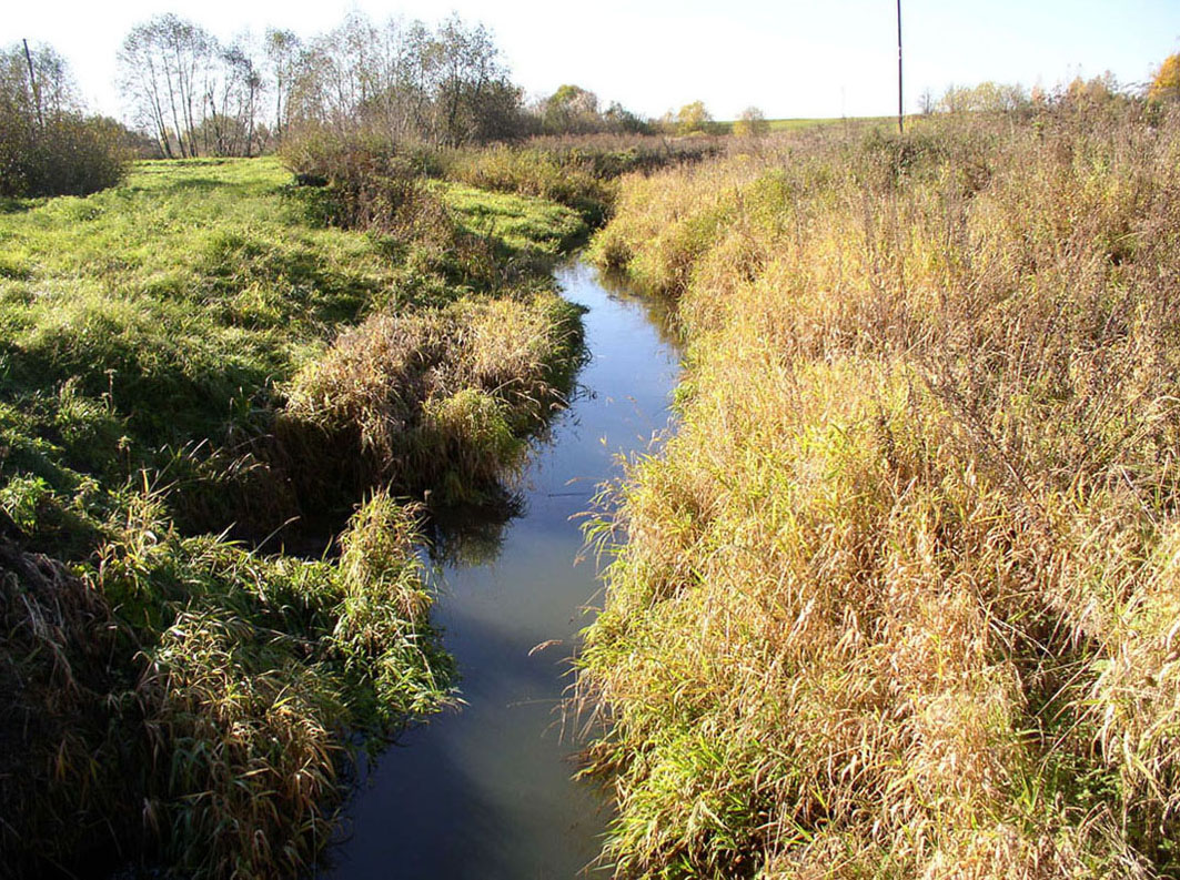 Латка, image of landscape/habitat.