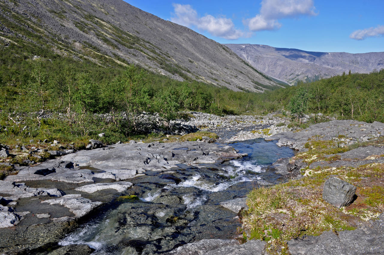 Долина реки Рисйок, image of landscape/habitat.