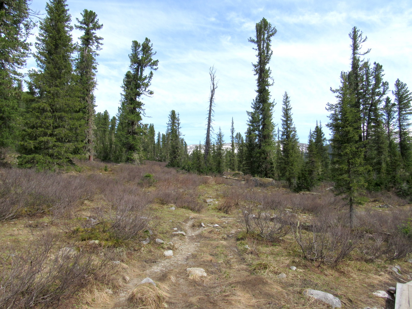 Долина реки Нижняя Буйба, image of landscape/habitat.