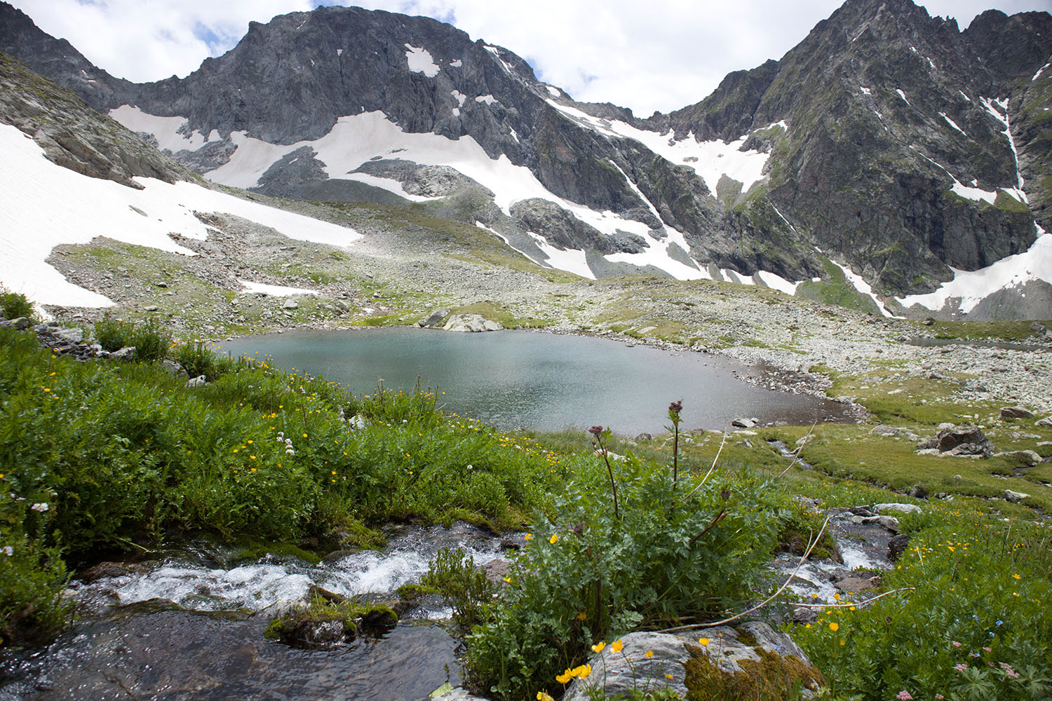 Ривьера, image of landscape/habitat.