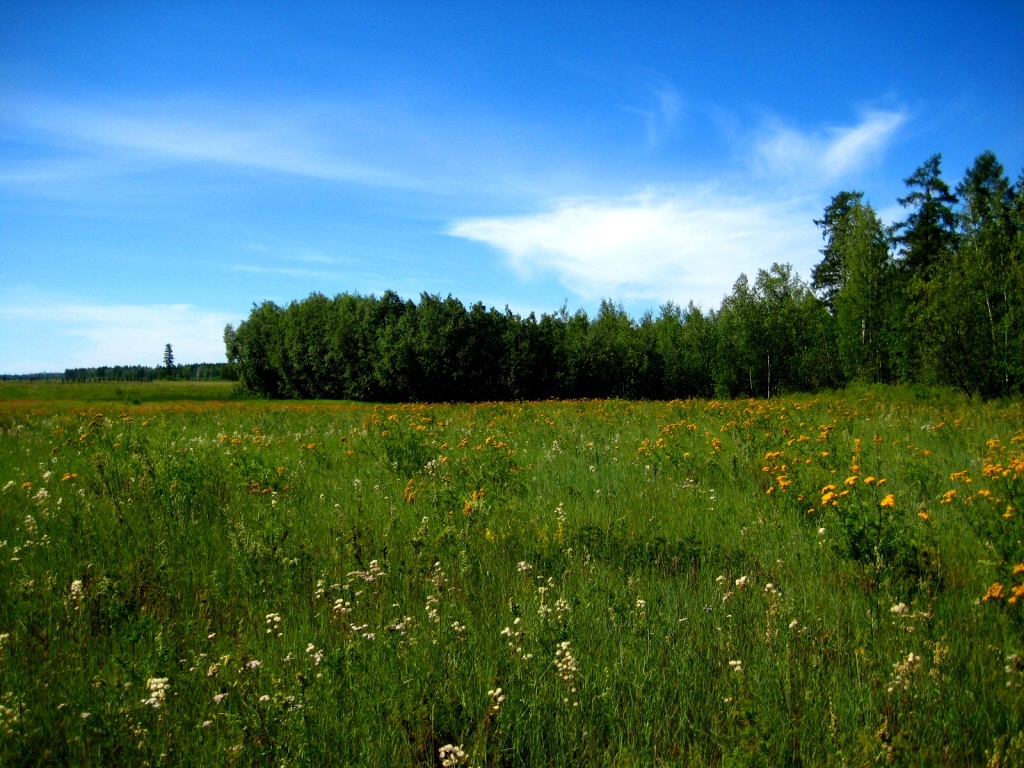 Кескил, image of landscape/habitat.