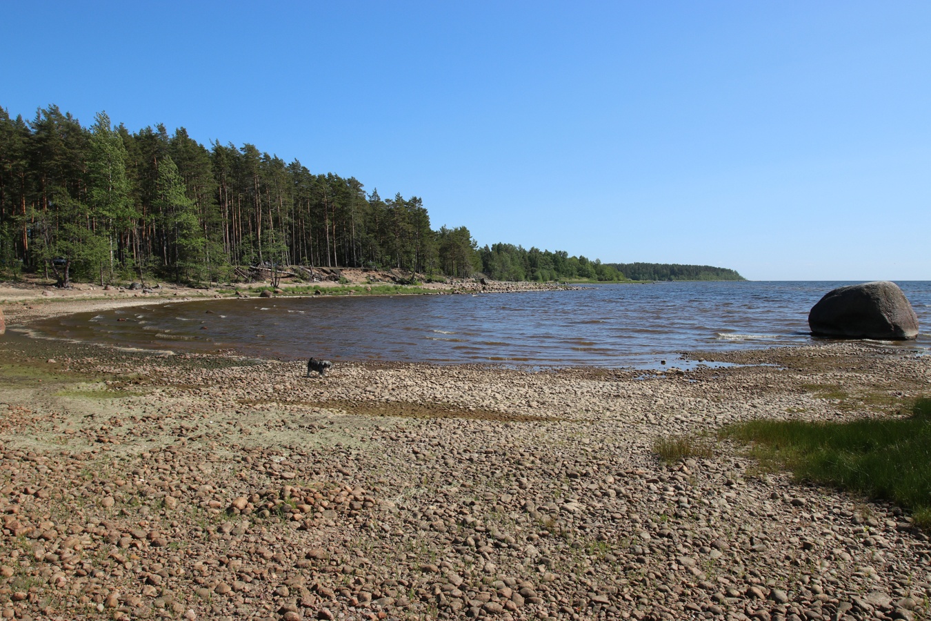 Берег у Сенокосной, image of landscape/habitat.