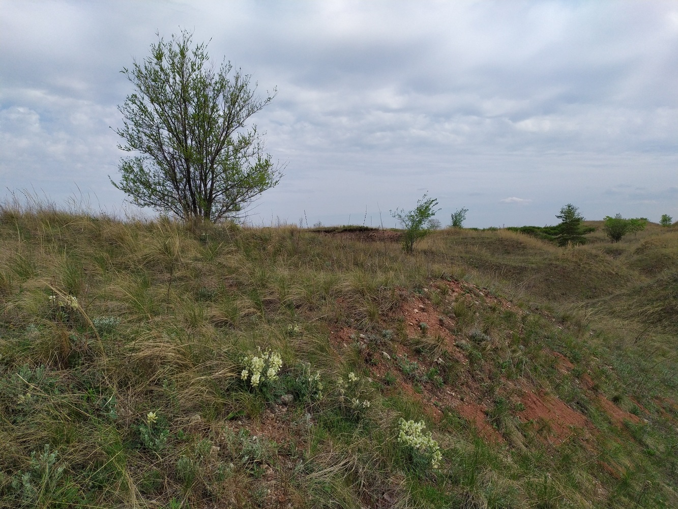 Гора Копейка, image of landscape/habitat.