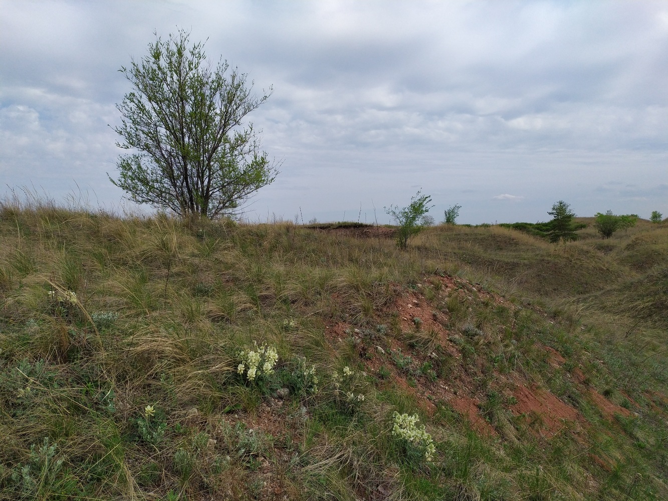 Гора Копейка, изображение ландшафта.