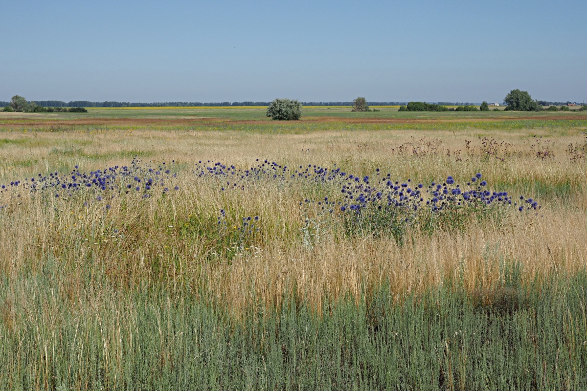 Долины рек Авраль, image of landscape/habitat.