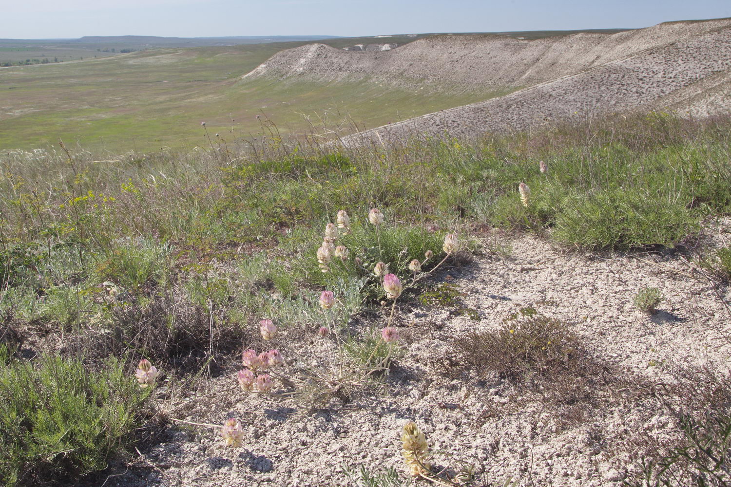 Долина р. Большая Голубая, image of landscape/habitat.