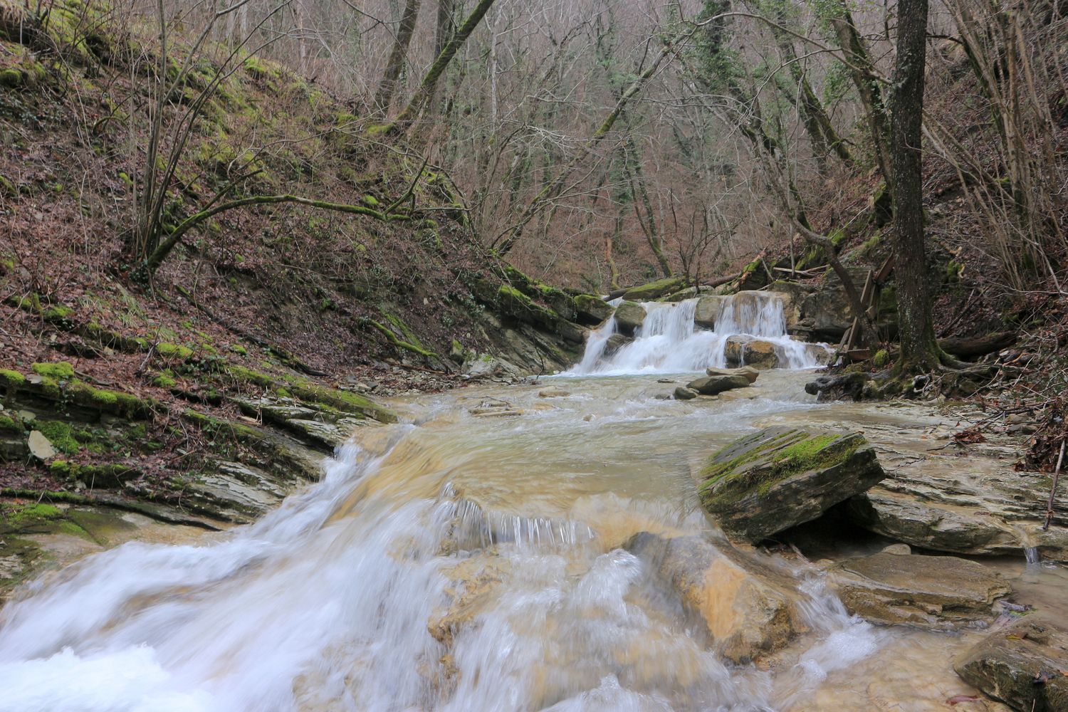 Тёмная Щель и притоки, image of landscape/habitat.