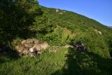 Image of landscape