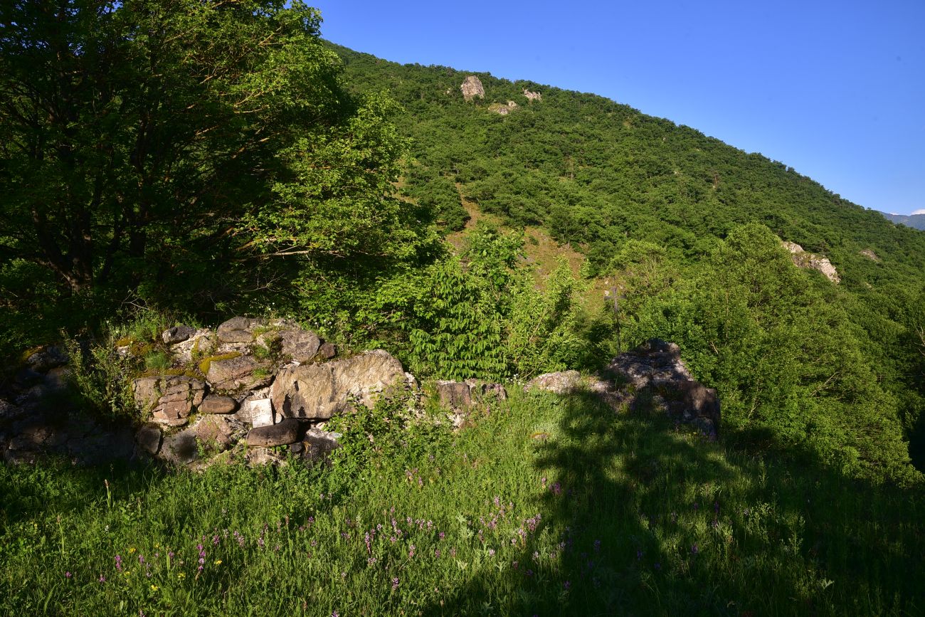 Окрестности села Гуркели, image of landscape/habitat.