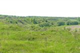Image of landscape