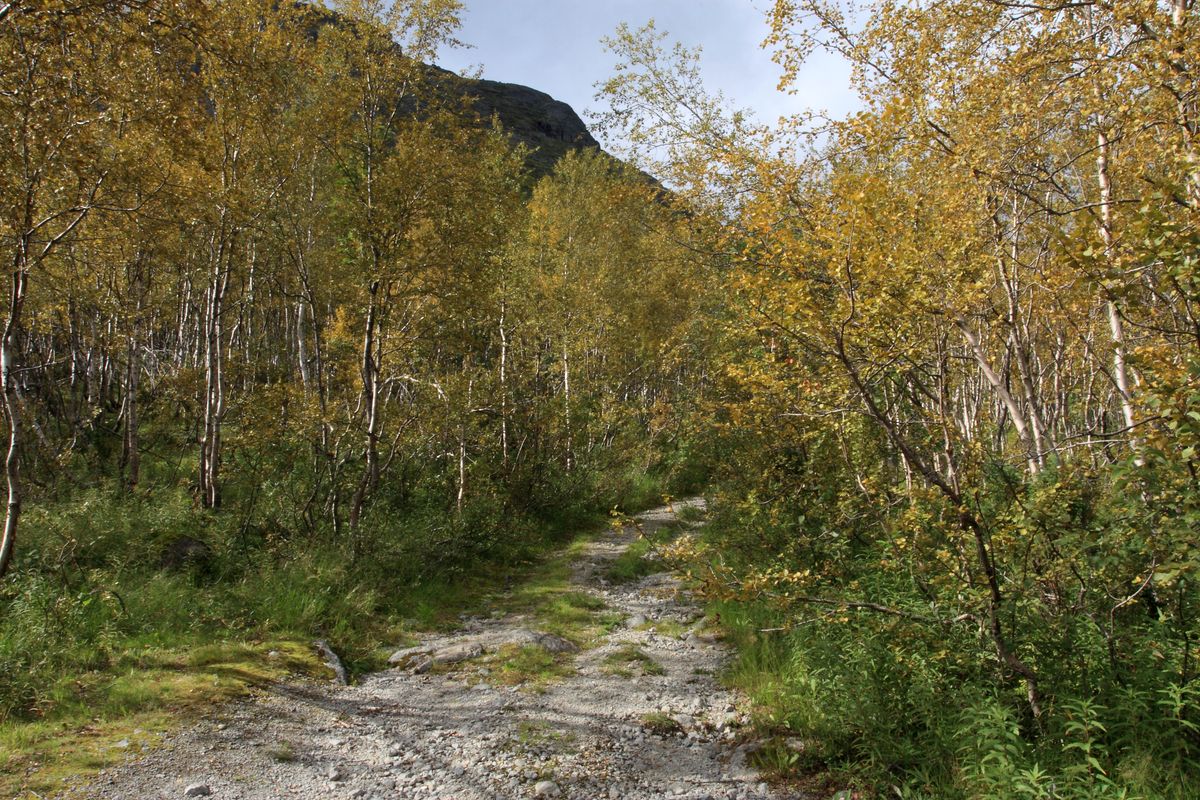 Долина Малого Вудъявра, изображение ландшафта.