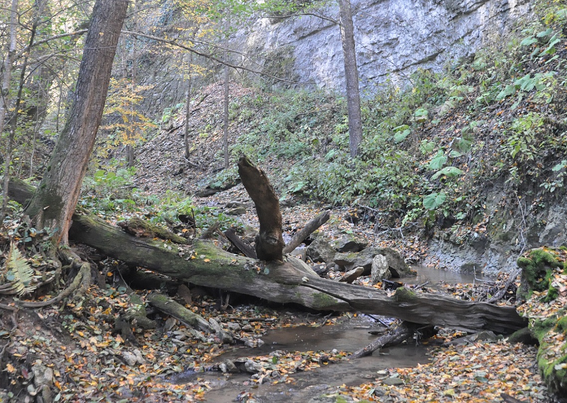 Долина реки Аминовка, image of landscape/habitat.