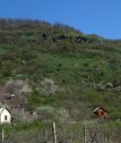 Image of landscape