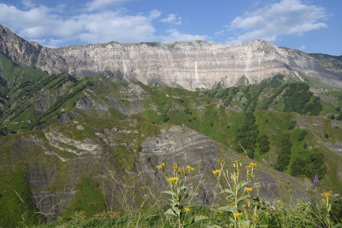 Урочище Цеси, image of landscape/habitat.