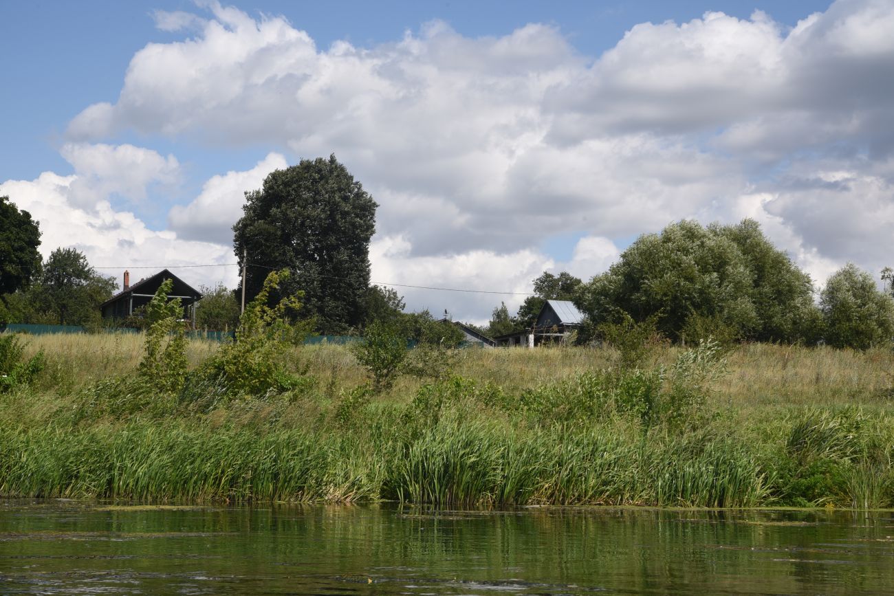 Красная Заря, image of landscape/habitat.
