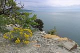 Image of landscape