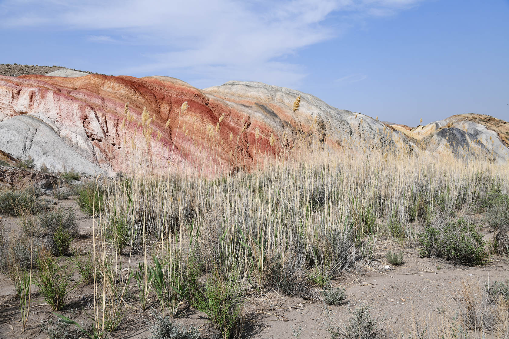 Мадыген, image of landscape/habitat.