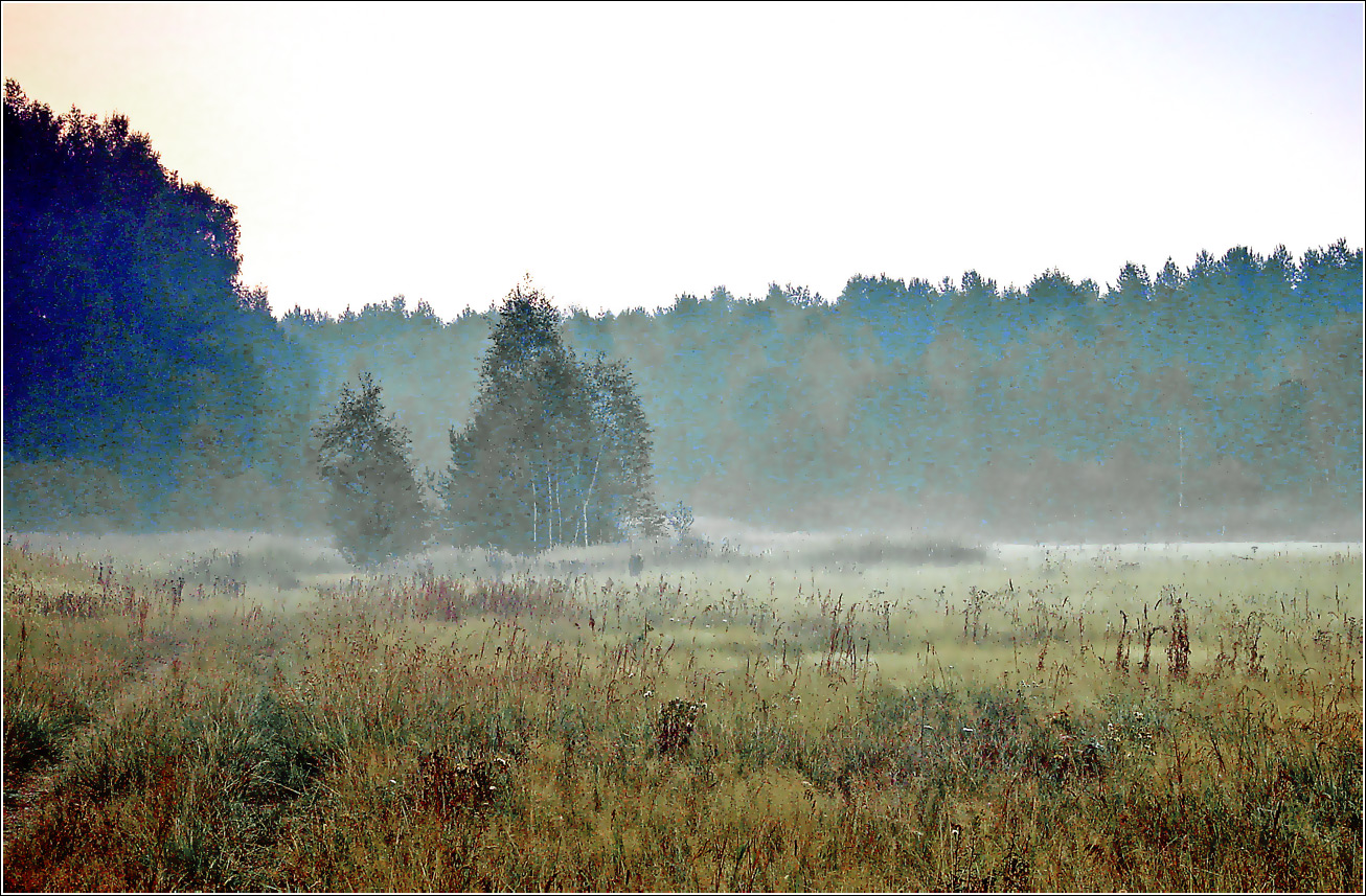 Окрестности Хрипани, image of landscape/habitat.